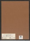 Biddulphia tenera Grove. et Sturt. (de-Toni-Nr.: Genus 123, Species 3492) Zeichnungen Sammlung Grunow Mappe 03685 (Herbarium_W_Grunow_drawings_Folder_03685)